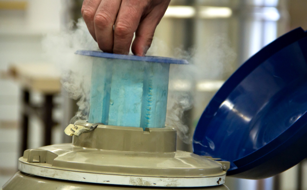 mpucci_fbcb_fisica_13082012_c_017